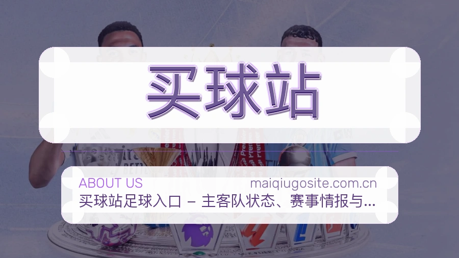 买球站平台简介